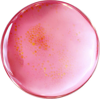 TXA 6 Niacinamide 10 Retinal Serum