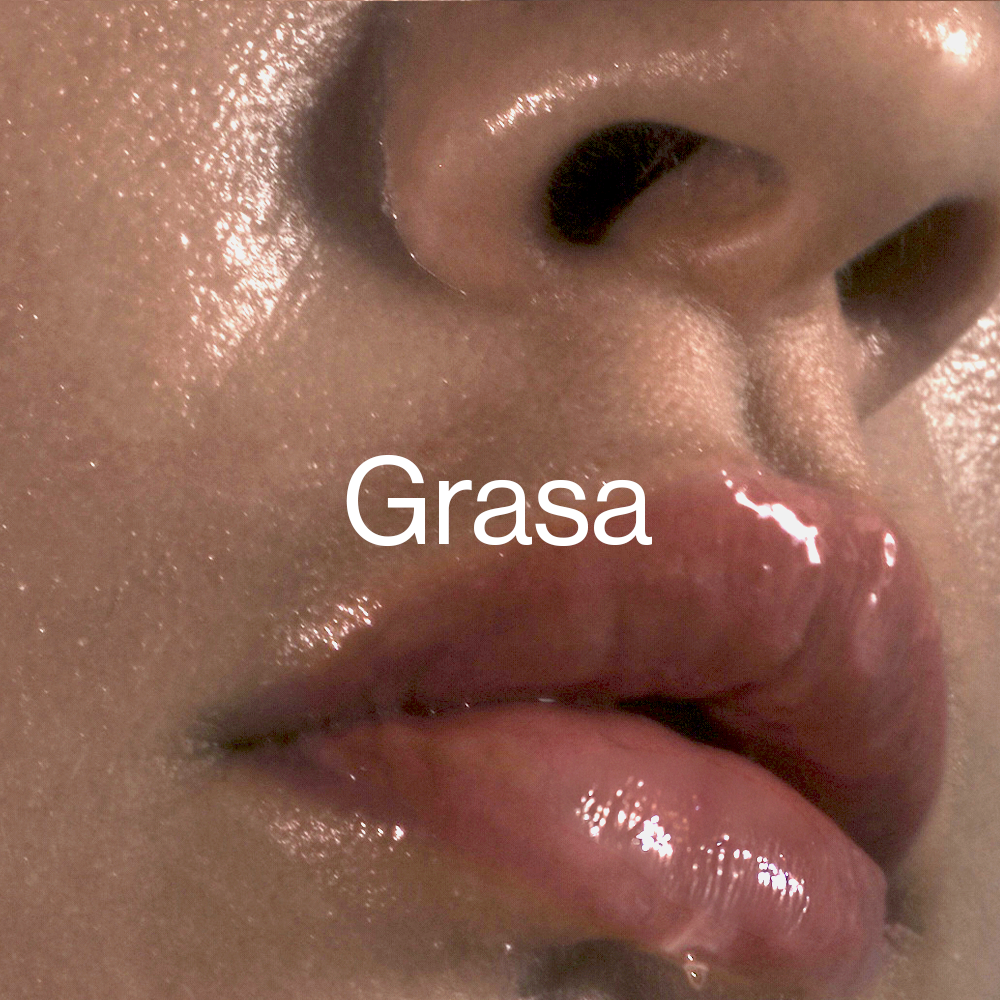 Piel Grasa