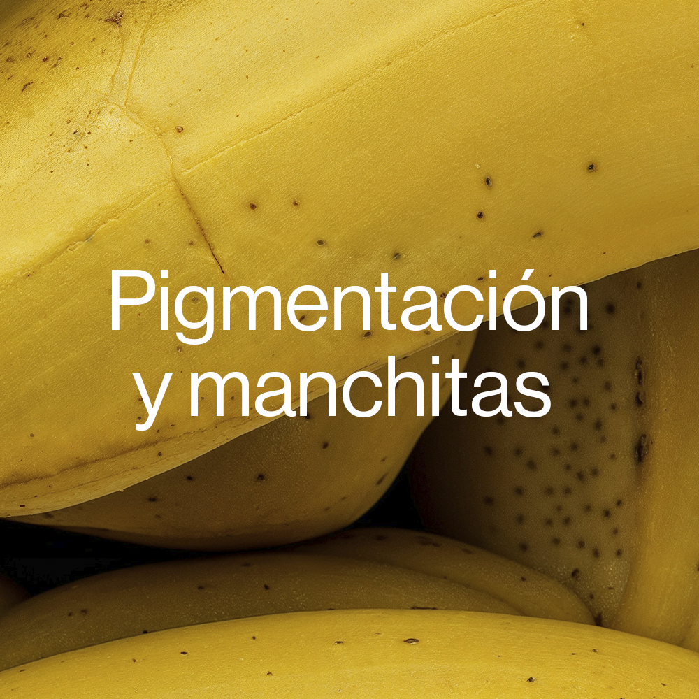 Manchas, Pigmentación & Cicatrices