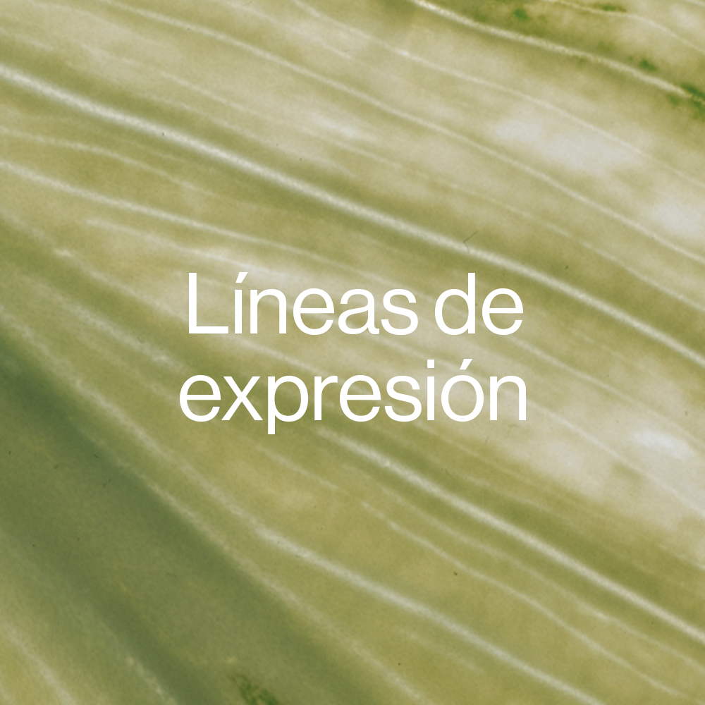 Líneas de Expresión