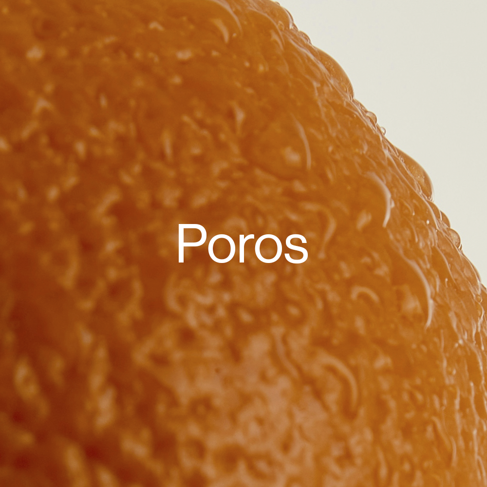 Poros & Puntos negros