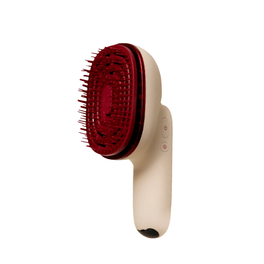 Hair Steamer Pro