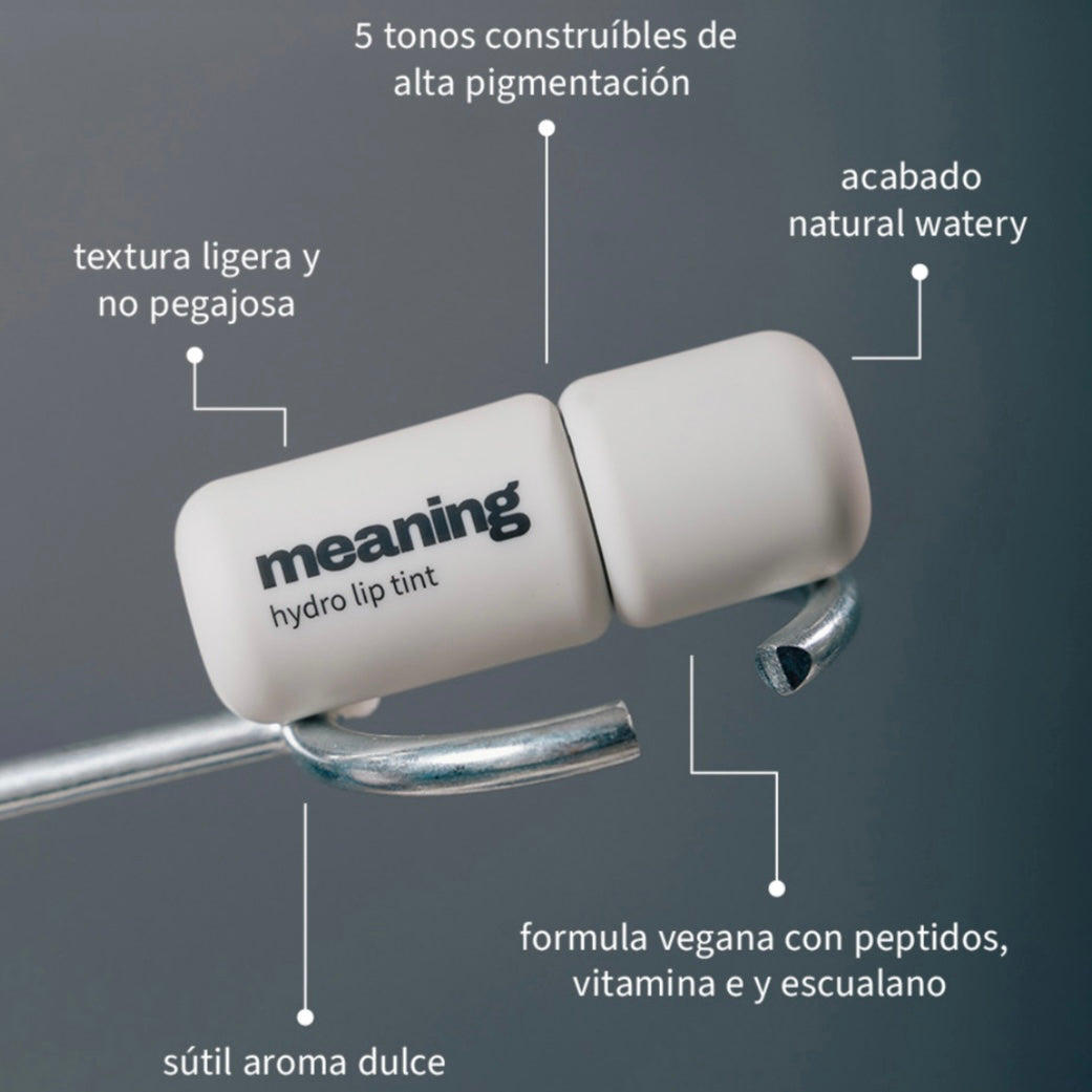 Hydro Lip Tint | 5 tonos