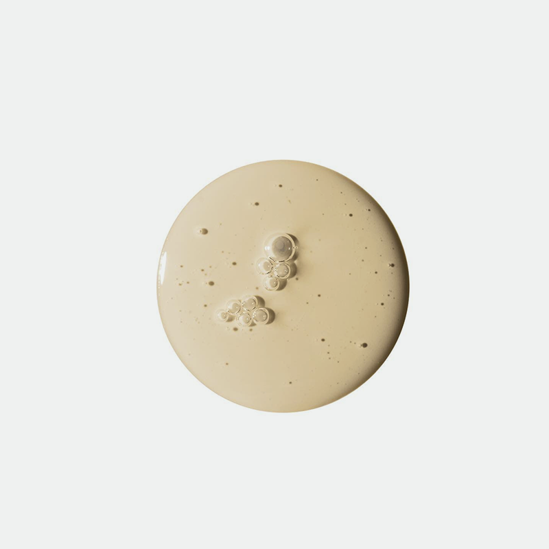 Revive Serum Ginseng + Snail Mucin | Suero antioxidante