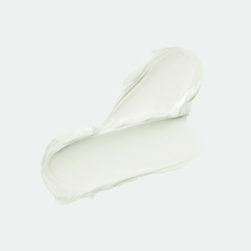 Matcha Biome Intensive Repair Cream | Crema hidratante reparadora con Probióticos